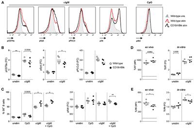 Toll-Like Receptor Signaling Drives Btk-Mediated Autoimmune Disease